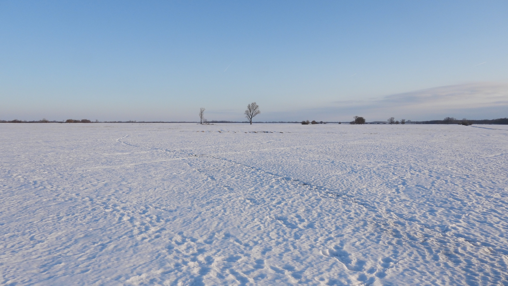 puky_Sasvári János.jpg